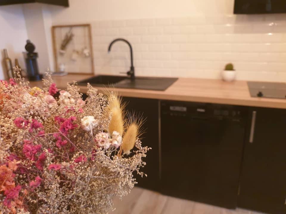 Le Citybreak - Studio Hypercentre Saint Denis エクステリア 写真